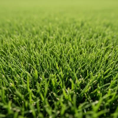 Imagen PNG para descargar